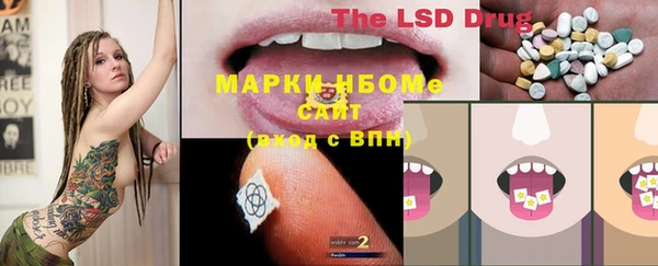 ПСИЛОЦИБИНОВЫЕ ГРИБЫ Абинск