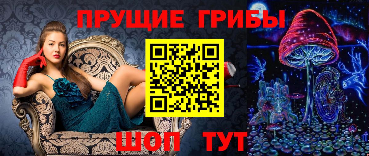 Галлюциногенные грибы Psilocybine cubensis Тобольск