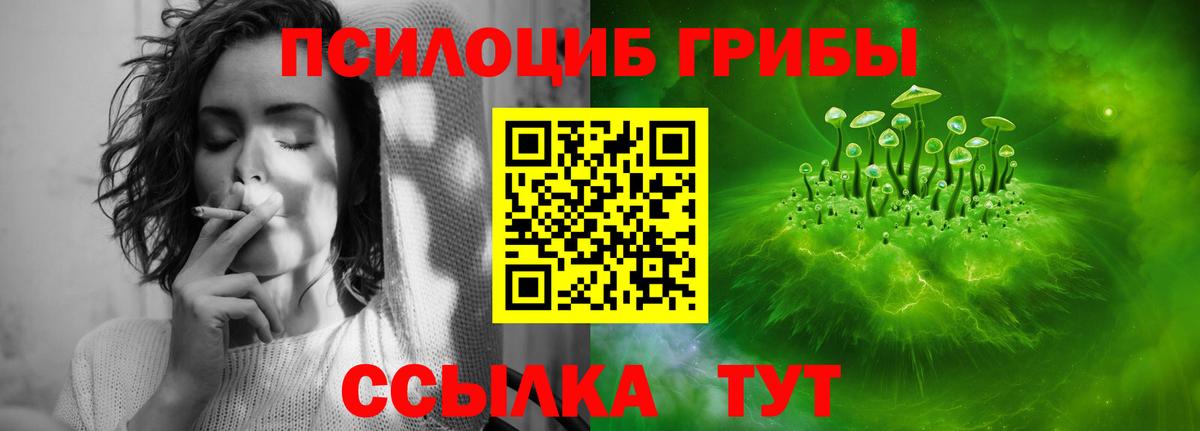 Галлюциногенные грибы прущие грибы  Вход с VPN  Тобольск 